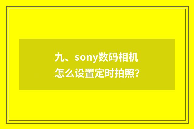 九、sony数码相机怎么设置定时拍照？