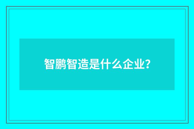 智鹏智造是什么企业？