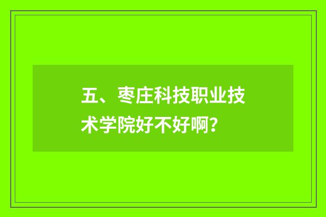 五、枣庄科技职业技术学院好不好啊?