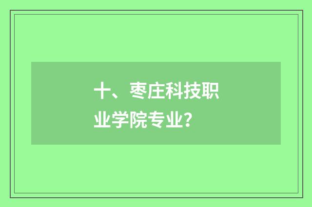 十、枣庄科技职业学院专业？