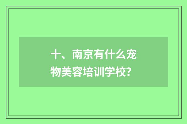 十、南京有什么宠物美容培训学校？