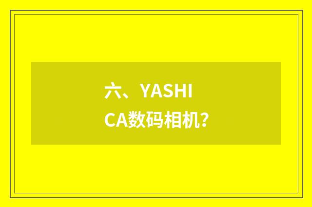 六、YASHICA数码相机？