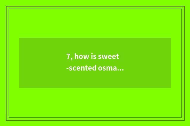 7, how is sweet-scented osmanthus drawn mid-autumn simple beautiful blackboard n