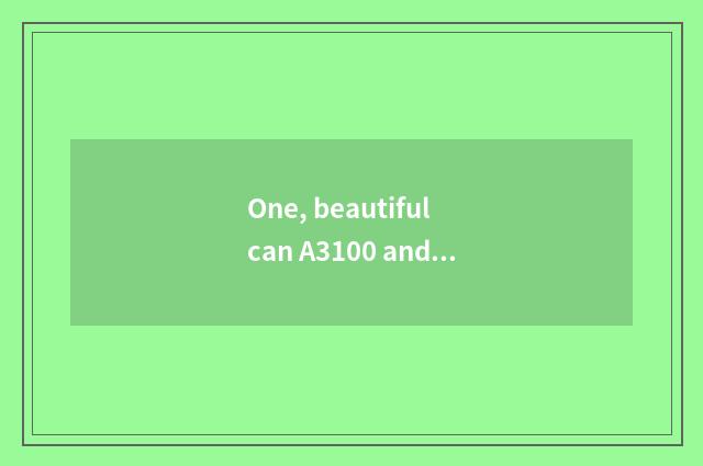 One, beautiful can A3100 and beautiful can A3100is?