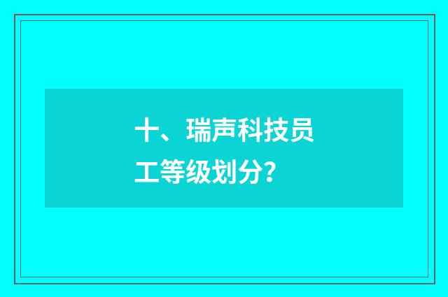 十、瑞声科技员工等级划分？