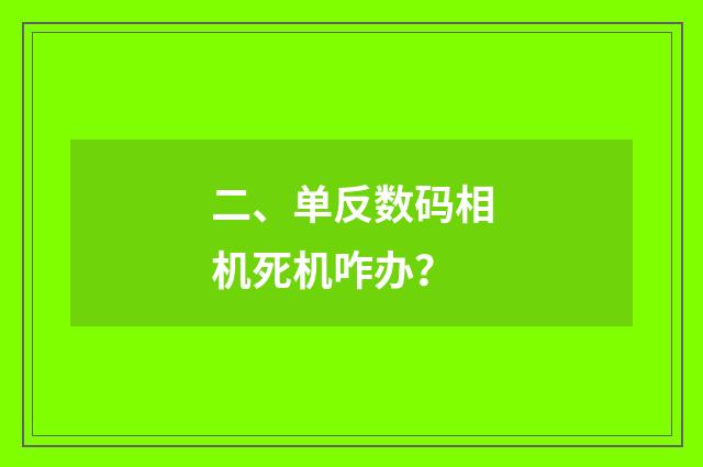 二、单反数码相机死机咋办？