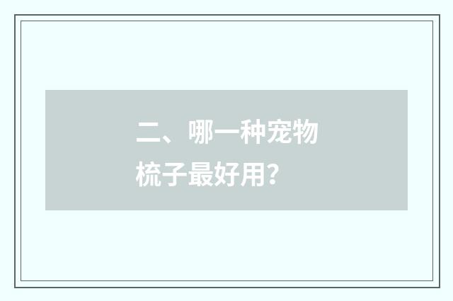 二、哪一种宠物梳子最好用？