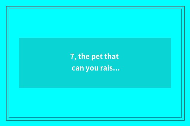 7, the pet that can you raise secretly?