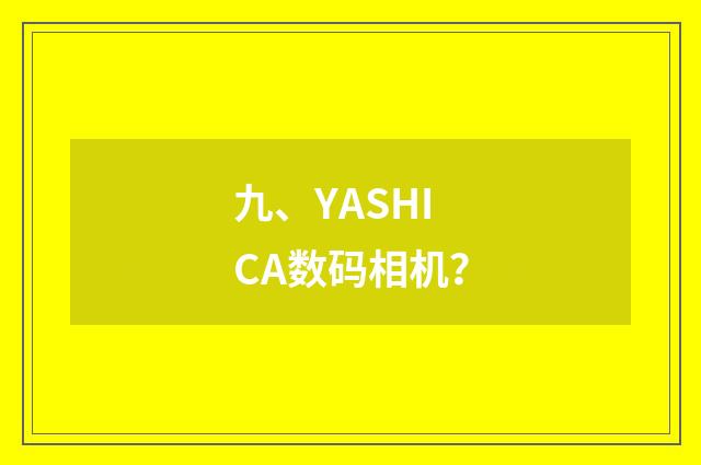 九、YASHICA数码相机?