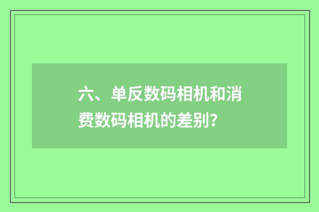 六、单反数码相机和消费数码相机的差别?