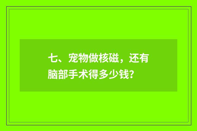 七、宠物做核磁，还有脑部手术得多少钱？