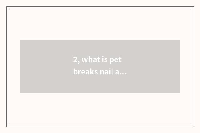 2, what is pet breaks nail art?