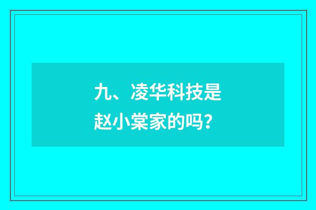 九、凌华科技是赵小棠家的吗?