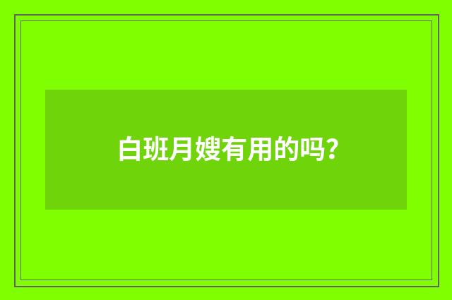 白班月嫂有用的吗?
