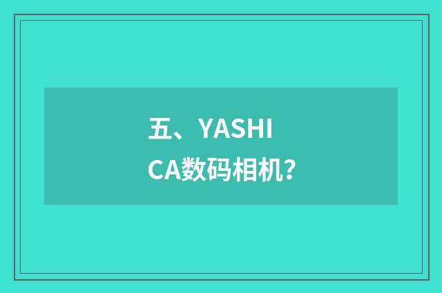 五、YASHICA数码相机？