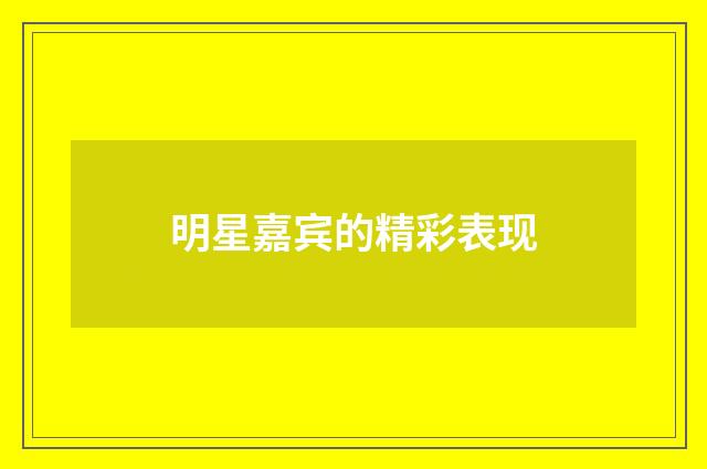 明星嘉宾的精彩表现