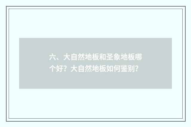 六、大自然地板和圣象地板哪个好?大自然地板如何鉴别?