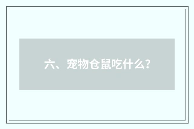 六、宠物仓鼠吃什么?