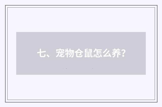 七、宠物仓鼠怎么养？