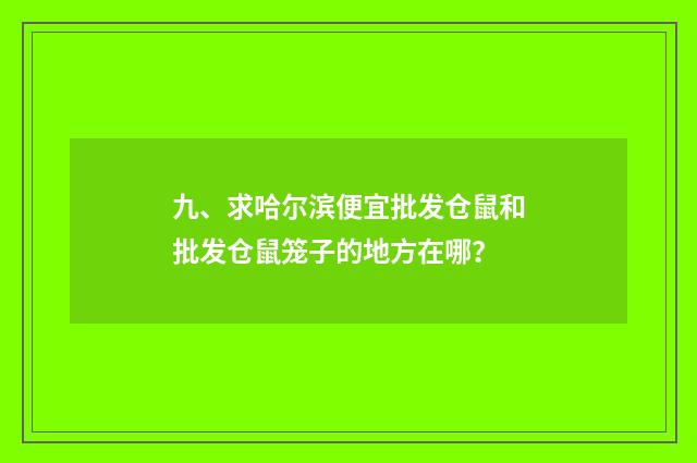 九、求哈尔滨便宜批发仓鼠和批发仓鼠笼子的地方在哪?