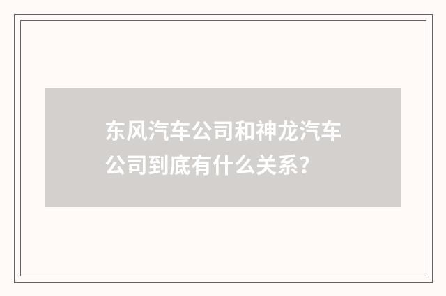 东风汽车公司和神龙汽车公司到底有什么关系？