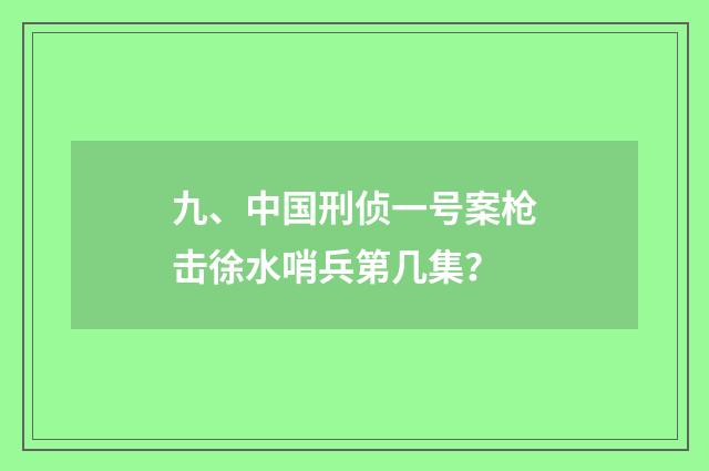 九、中国刑侦一号案枪击徐水哨兵第几集？