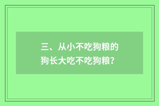 三、从小不吃狗粮的狗长大吃不吃狗粮?