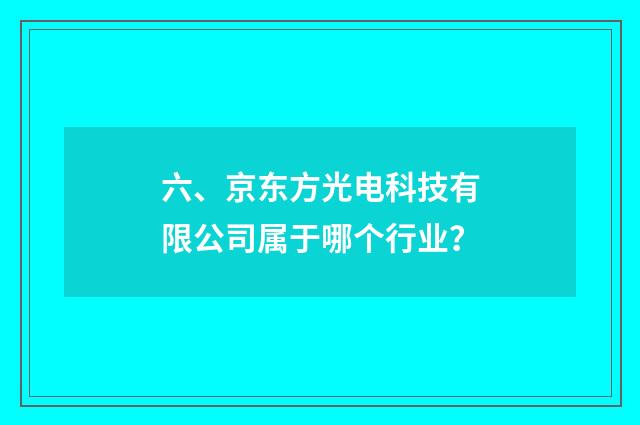 六、京东方光电科技有限公司属于哪个行业?