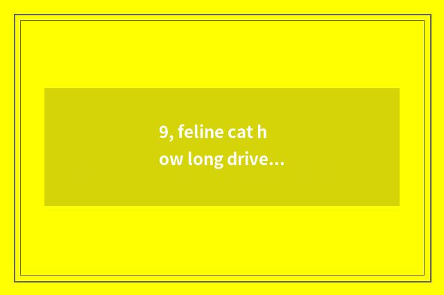 9, feline cat how long drive bug?