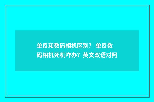 单反和数码相机区别？ 单反数码相机死机咋办？英文双语对照