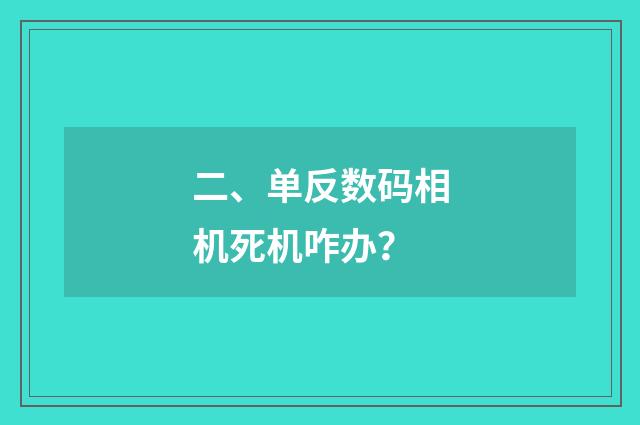二、单反数码相机死机咋办?