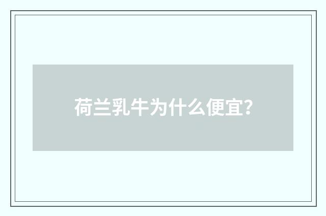 荷兰乳牛为什么便宜？