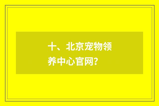 十、北京宠物领养中心官网?