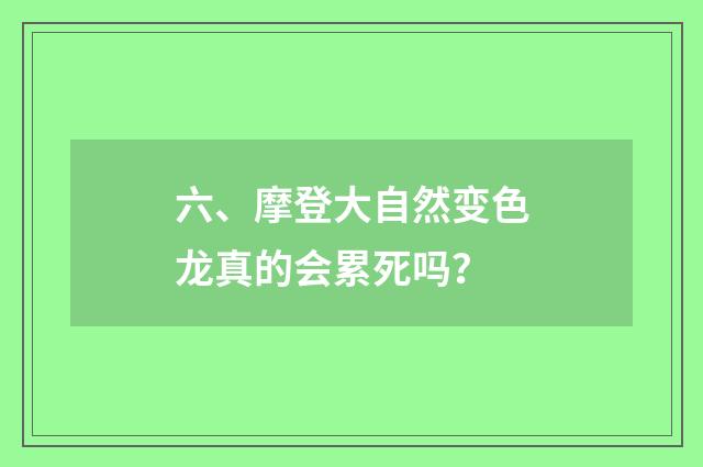 六、摩登大自然变色龙真的会累死吗？