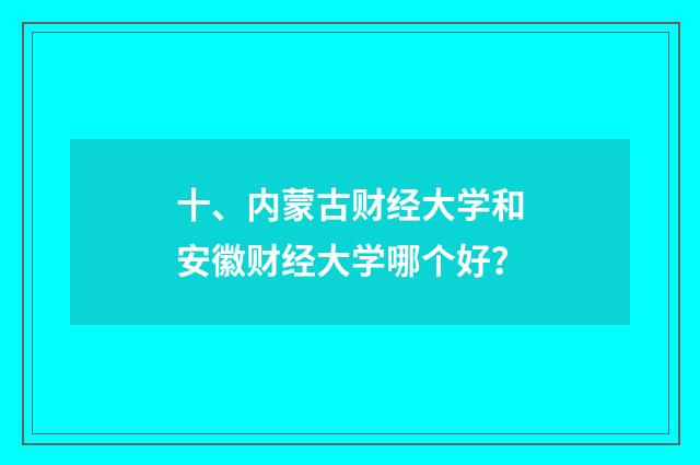 十、内蒙古财经大学和安徽财经大学哪个好?