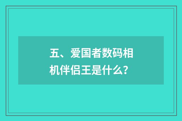 五、爱国者数码相机伴侣王是什么？