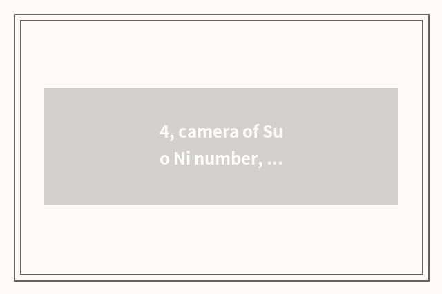 4, camera of Suo Ni number, computer connection?