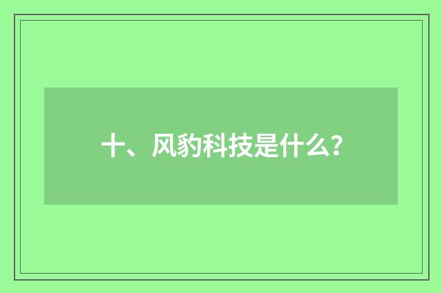 十、风豹科技是什么？