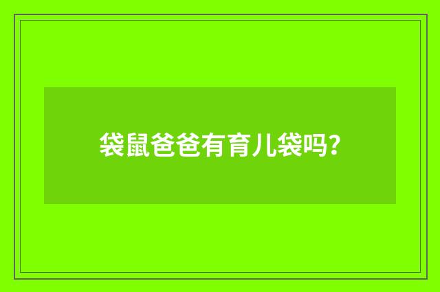 袋鼠爸爸有育儿袋吗？