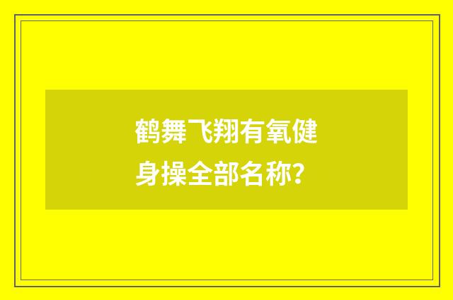 鹤舞飞翔有氧健身操全部名称？