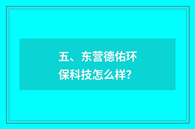 五、东营德佑环保科技怎么样？