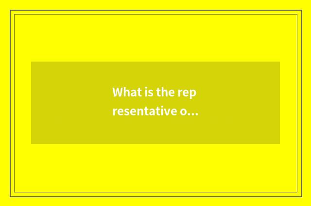 What is the representative of samite recreation platform?