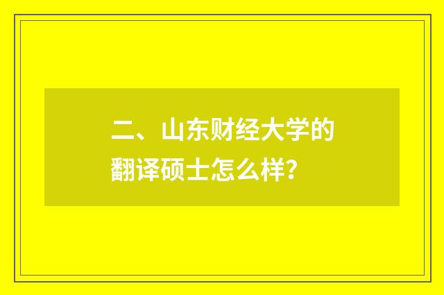 二、山东财经大学的翻译硕士怎么样?