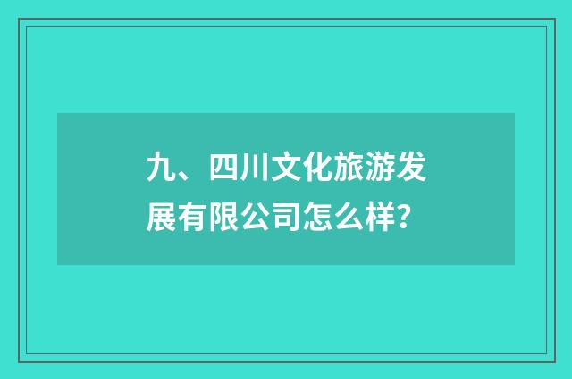 九、四川文化旅游发展有限公司怎么样？