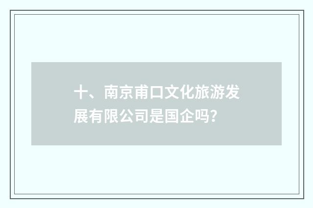 十、南京甫口文化旅游发展有限公司是国企吗？