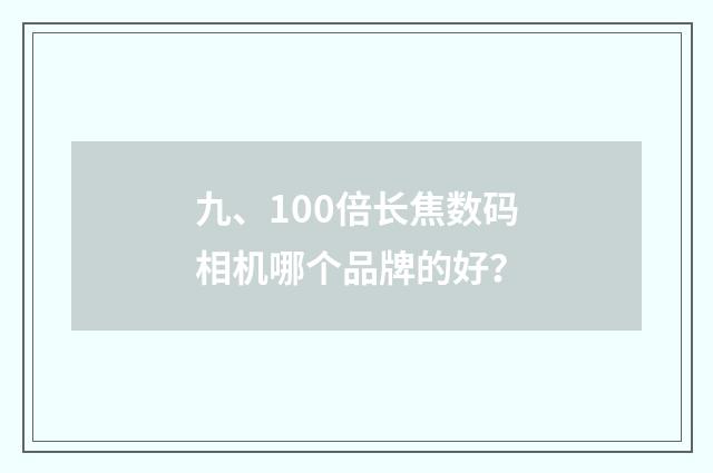 九、100倍长焦数码相机哪个品牌的好？