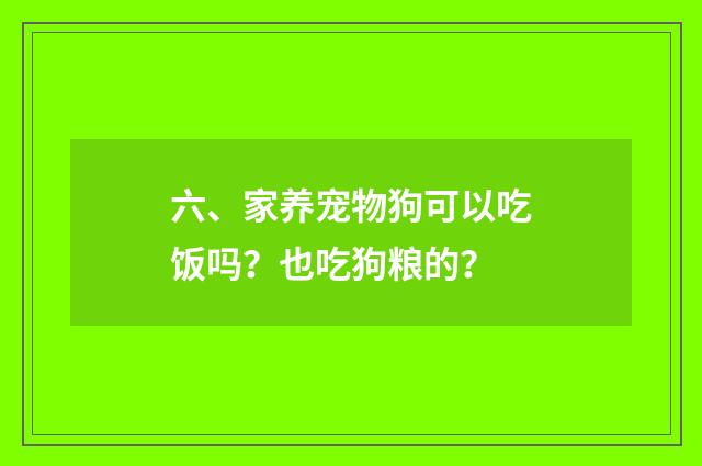 六、家养宠物狗可以吃饭吗？也吃狗粮的？