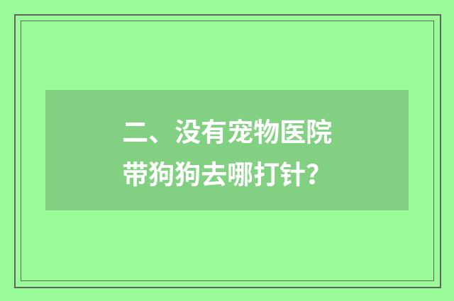 二、没有宠物医院带狗狗去哪打针？
