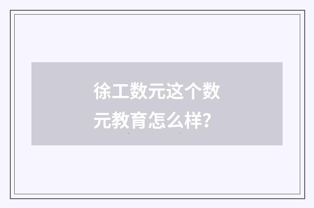 徐工数元这个数元教育怎么样？