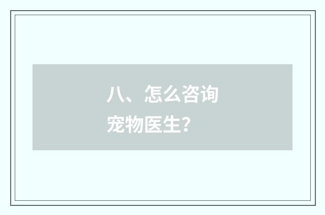 八、怎么咨询宠物医生?